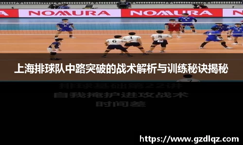 TVT体育官网