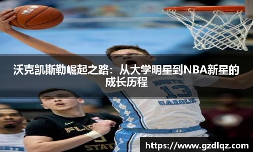 TVT体育官方app