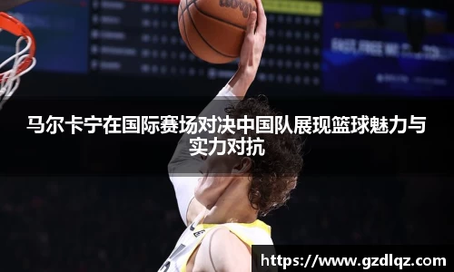 TVT体育官网