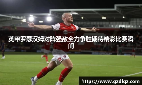 TVT体育